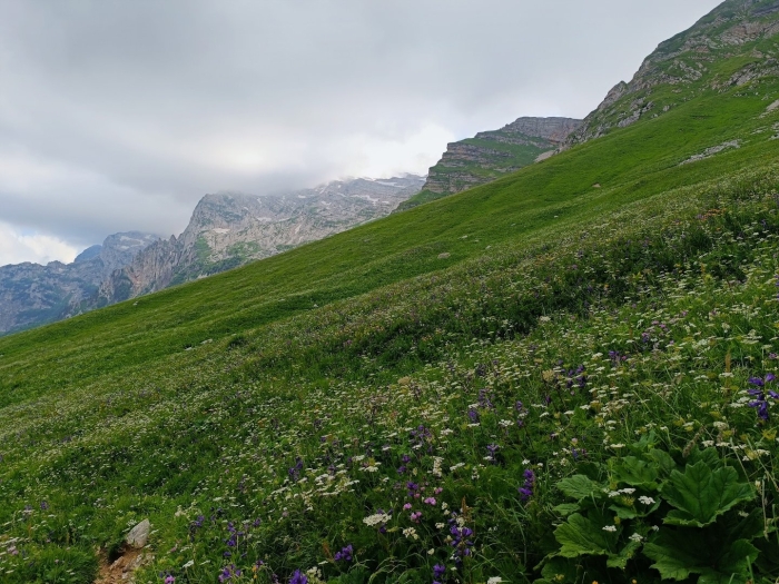 Гора ачишхо