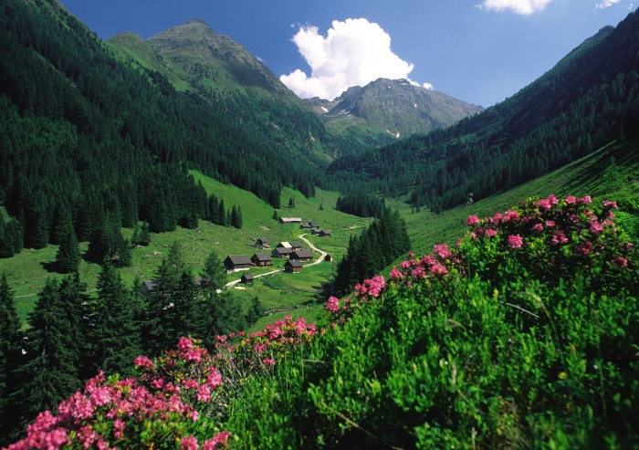 Appenzell швейцария