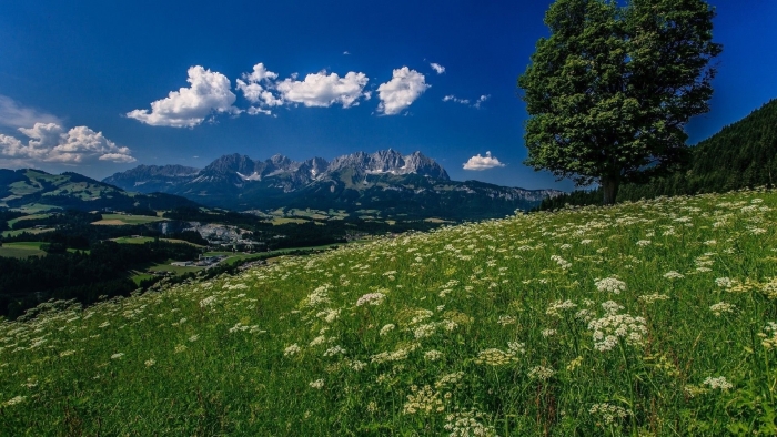 Альпийские луга австрии