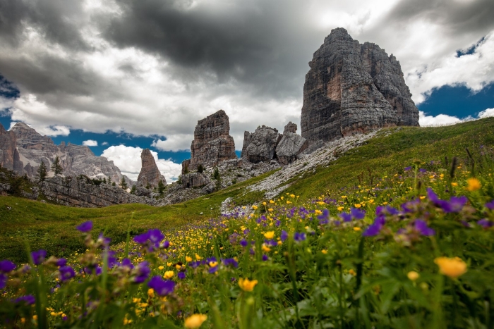 Альпы горы луга