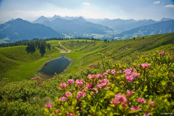 Альпийские луга бавария