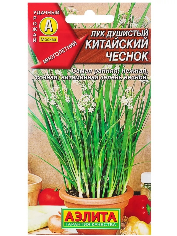 Лук душистый китайский чеснок