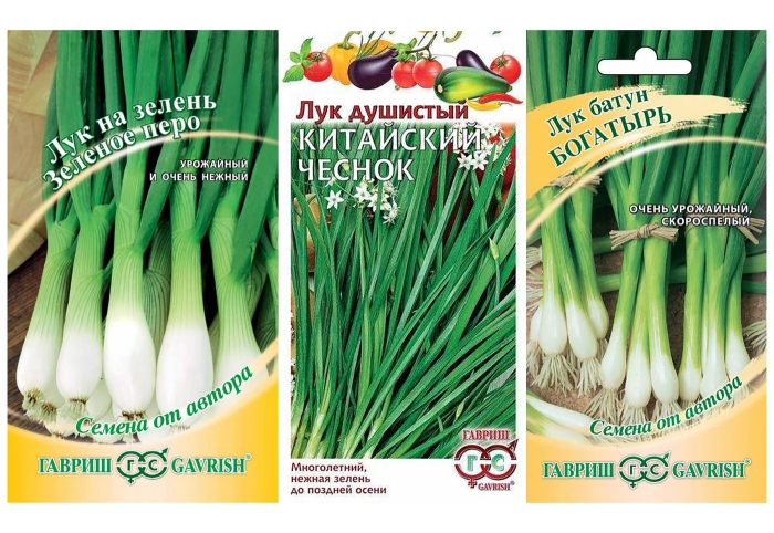Семена гавриш лук душистый китайский чеснок