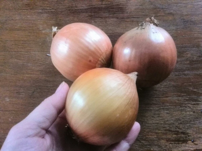 Лук крупный