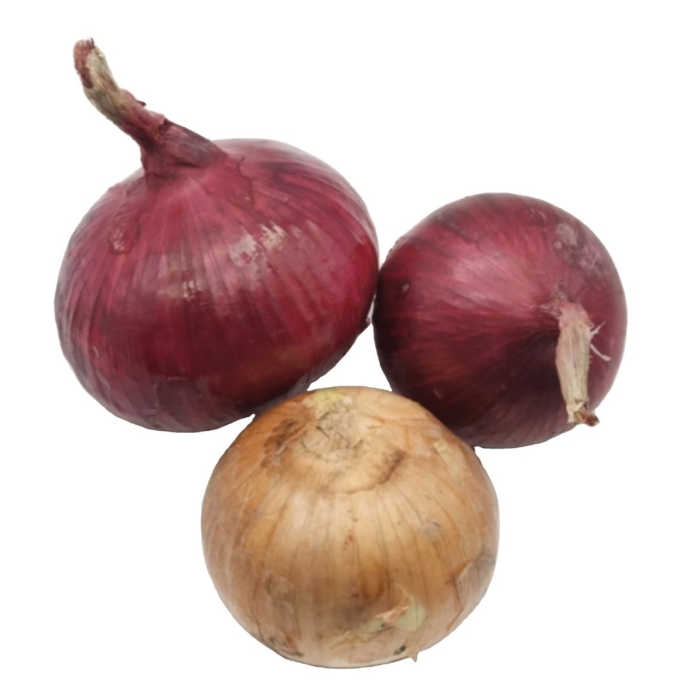 Лук фиолетовый