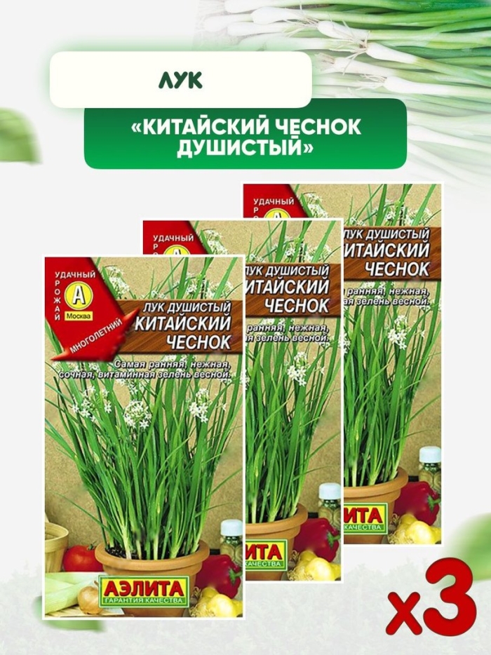 Семена лук душистый китайский чеснок 0.3гр(гавриш) цв