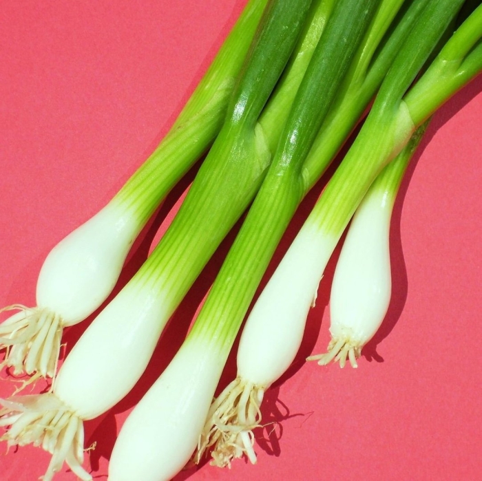 Китайский лук