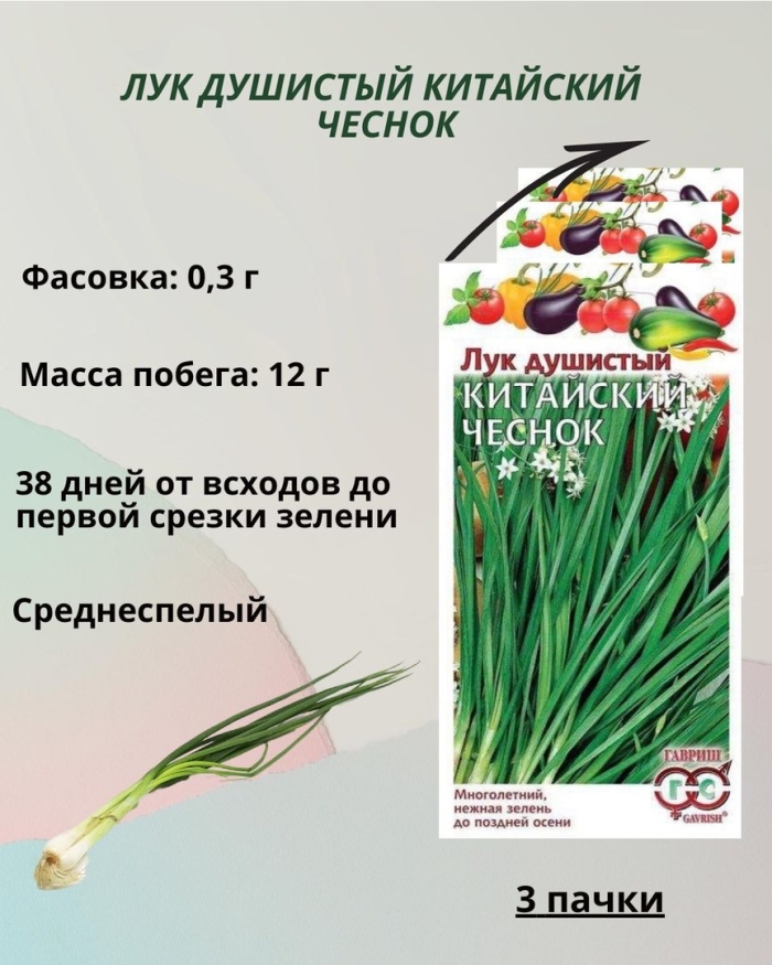 Гавриш лук душистый китайский чеснок