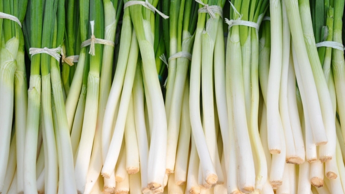 Лук порей