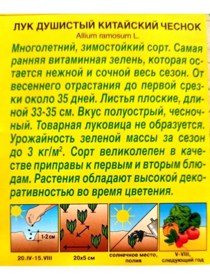 Китайский чеснок