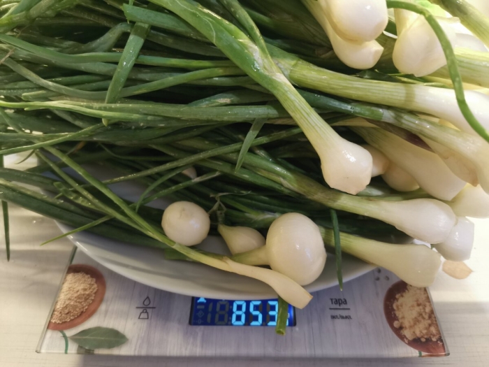 Польза зеленого лука