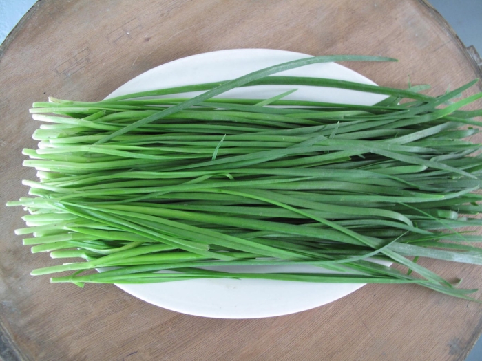 Джусай китайский лук