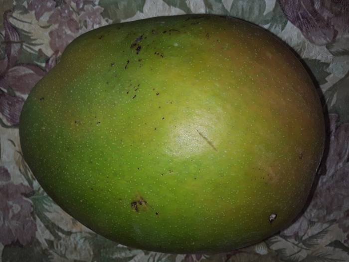 Манго/mangifera indica ataulfo