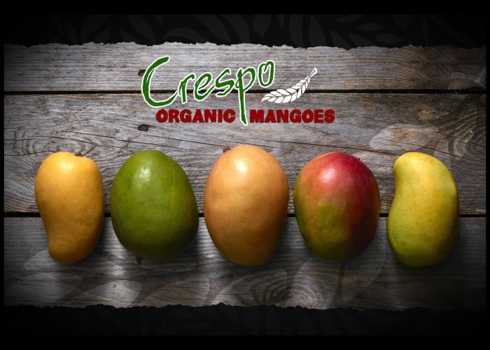 Манго сорт альфонсо