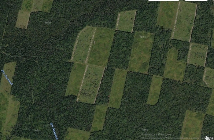 Вид со спутника