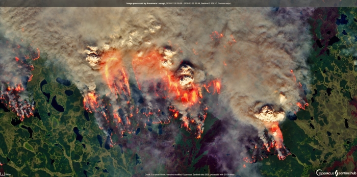 Лесные пожары в якутии 2021