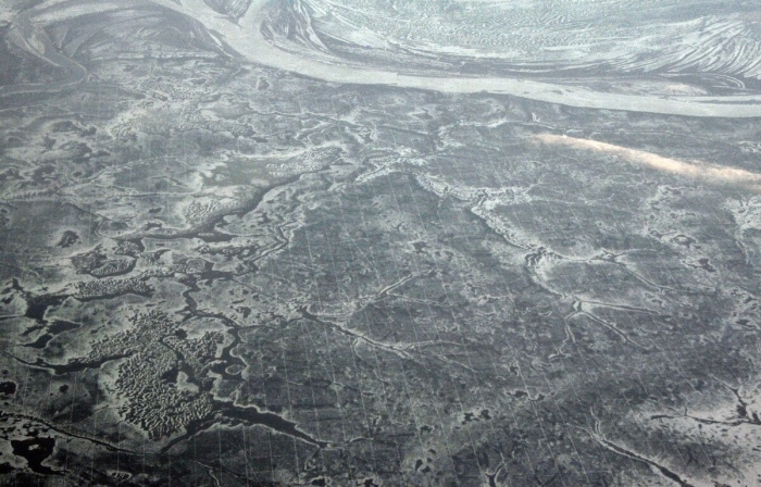 Просеки в тайге