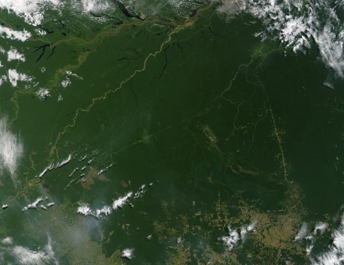 Амазонка река вид из космоса