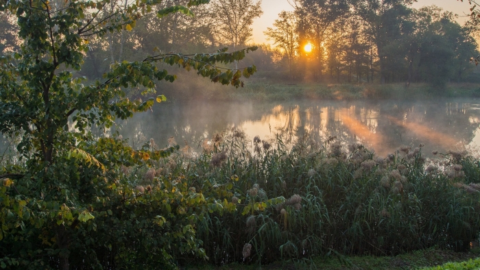 Туманный рассвет на озере