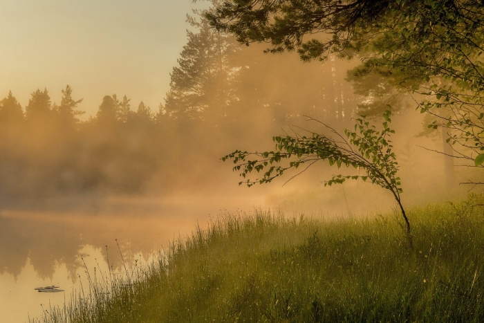 Русская природа утро