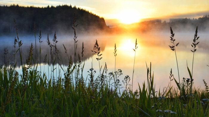 Природа рассвет