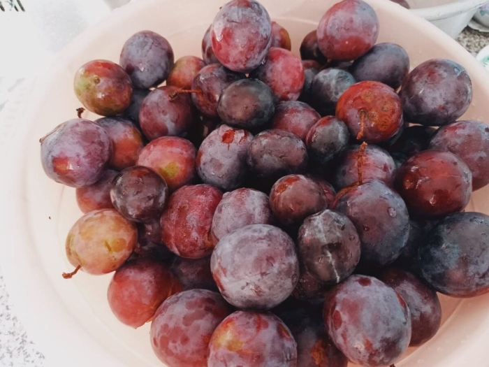 Слива ткемали