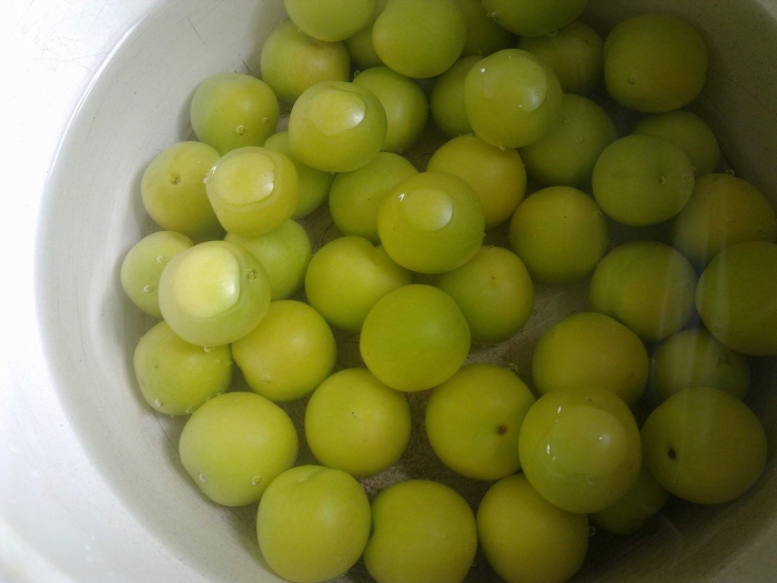 Алыча зеленая султан