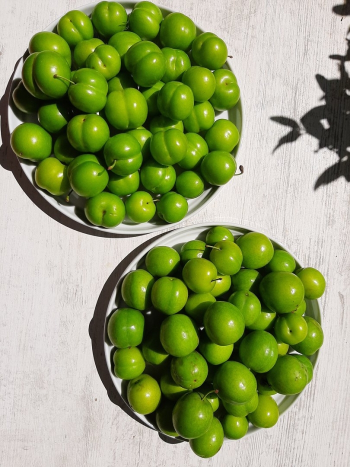 Зеленая слива