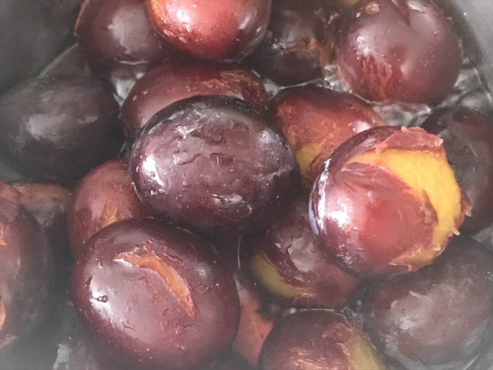 Ткемали сорт сливы