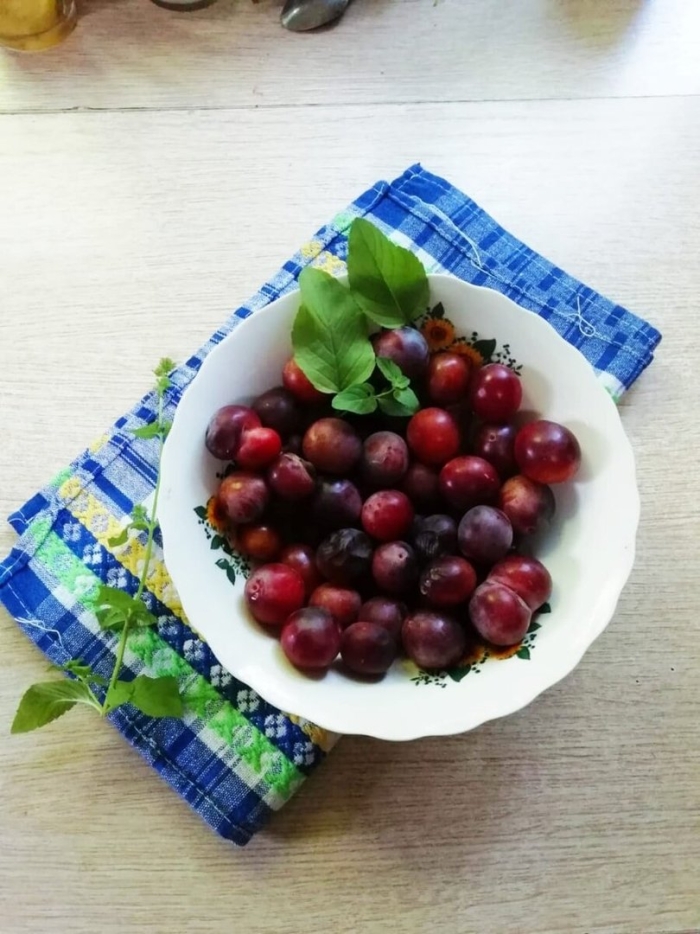 Сливово-вишневый гибрид мейнор