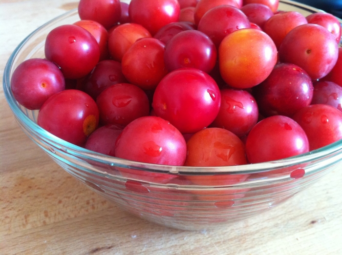 Ткемалевая алыча