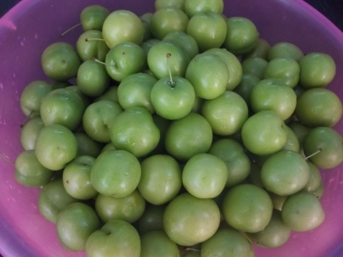 Зеленая слива ткемали