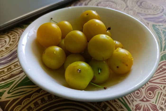 Желтая алыча