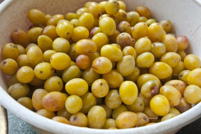 Желтая слива