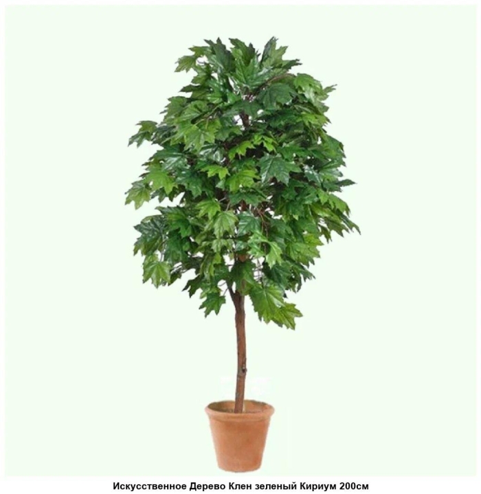 Искусственное дерево клён