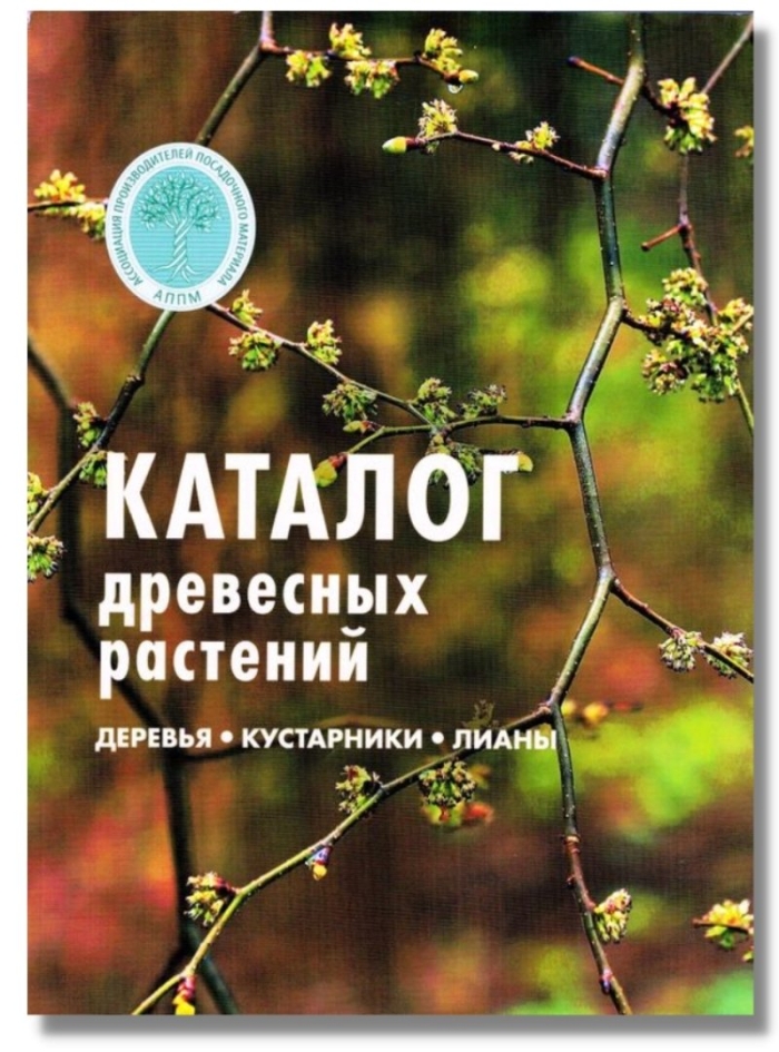 Каталог древесных растений