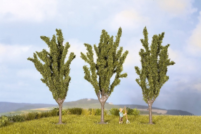 Дерево тополь