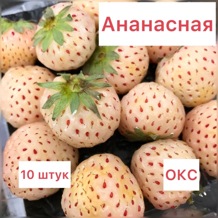 Клубника ананасная пайнберри