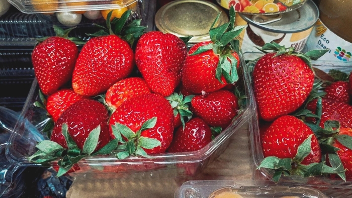 Сорт клубники