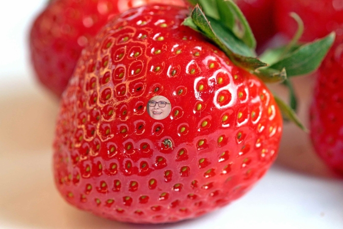 Ягода клубника