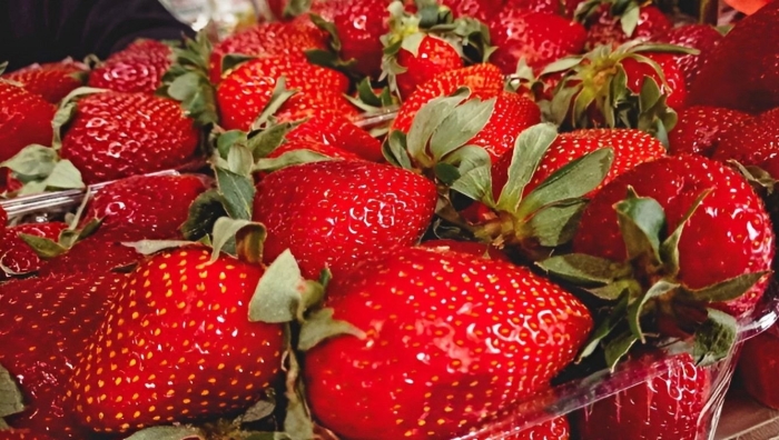 Клубника земляника