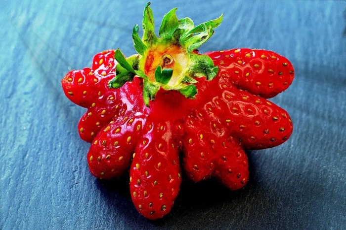 Клубника сочная