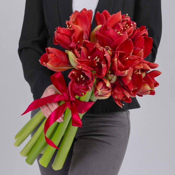 Букет с амариллисом красным