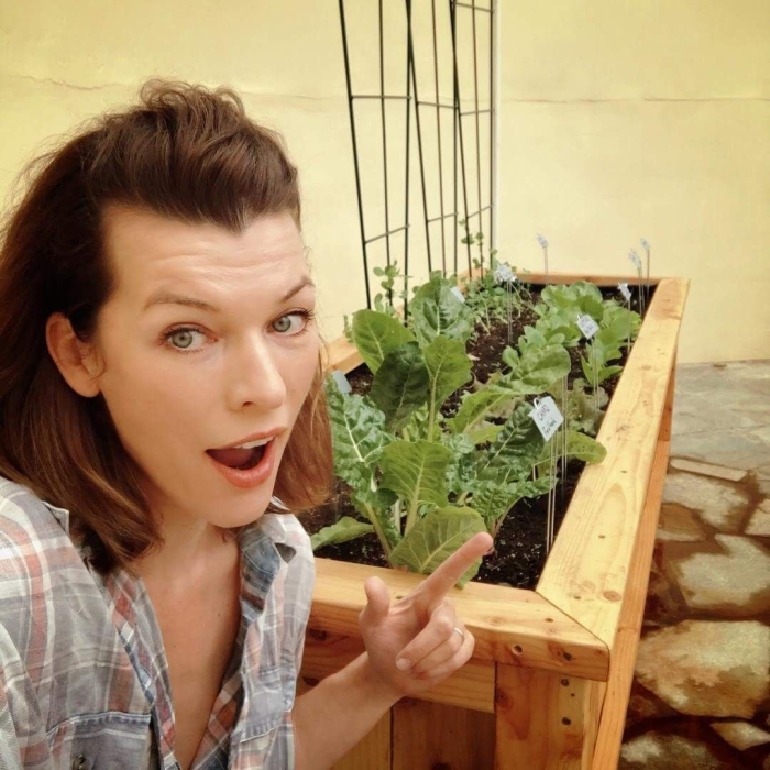 Милла йовович без грима