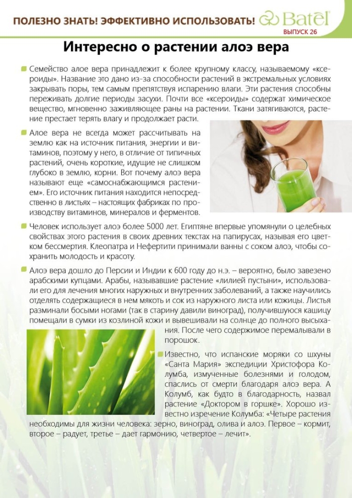 Характеристики растения алоэ вера