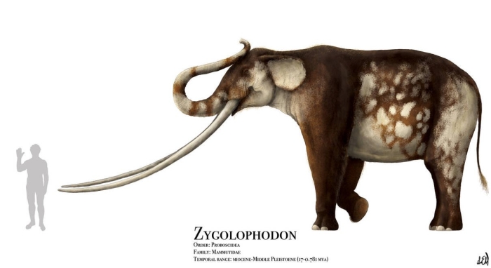 Палеолоксодон намадикус