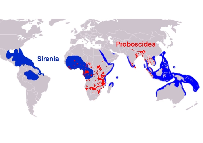 Колониальная империя португалии