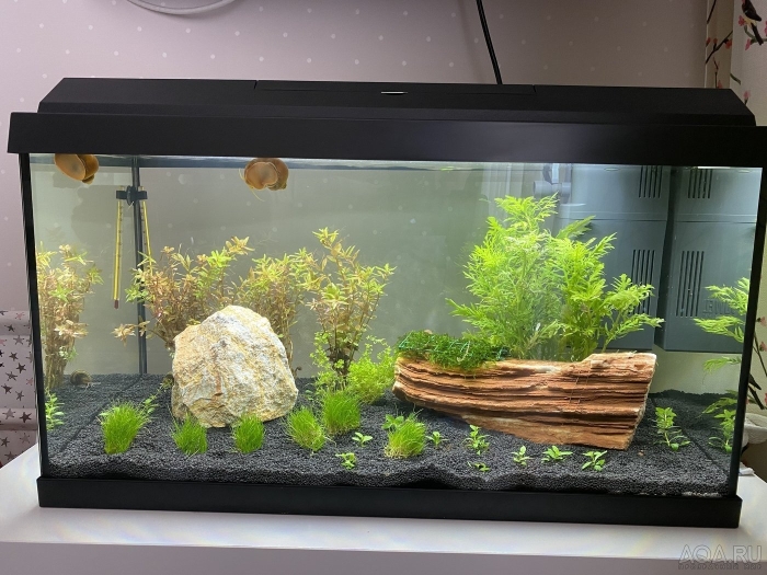 Аквариум литров