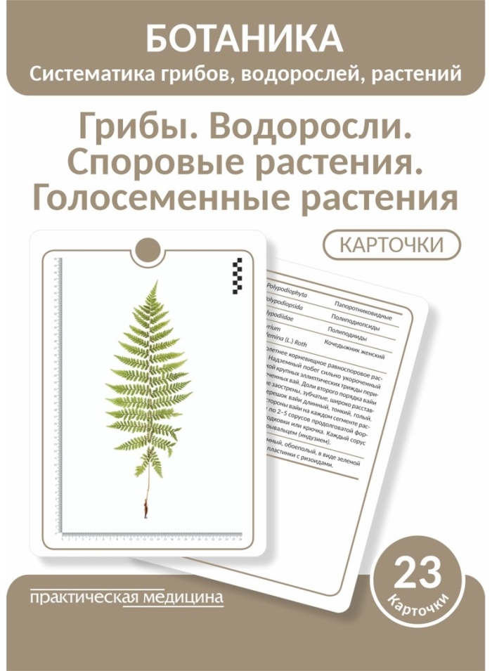 Систематика ботаника