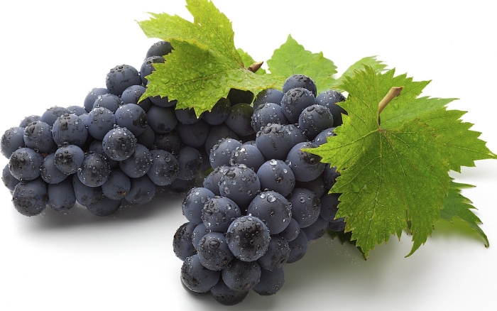 Черный виноград